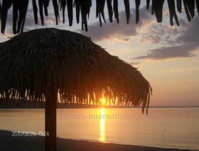 camping blanchet quebec canada palmex artificial thatch umbrella