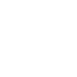 Aloha Palm icon
