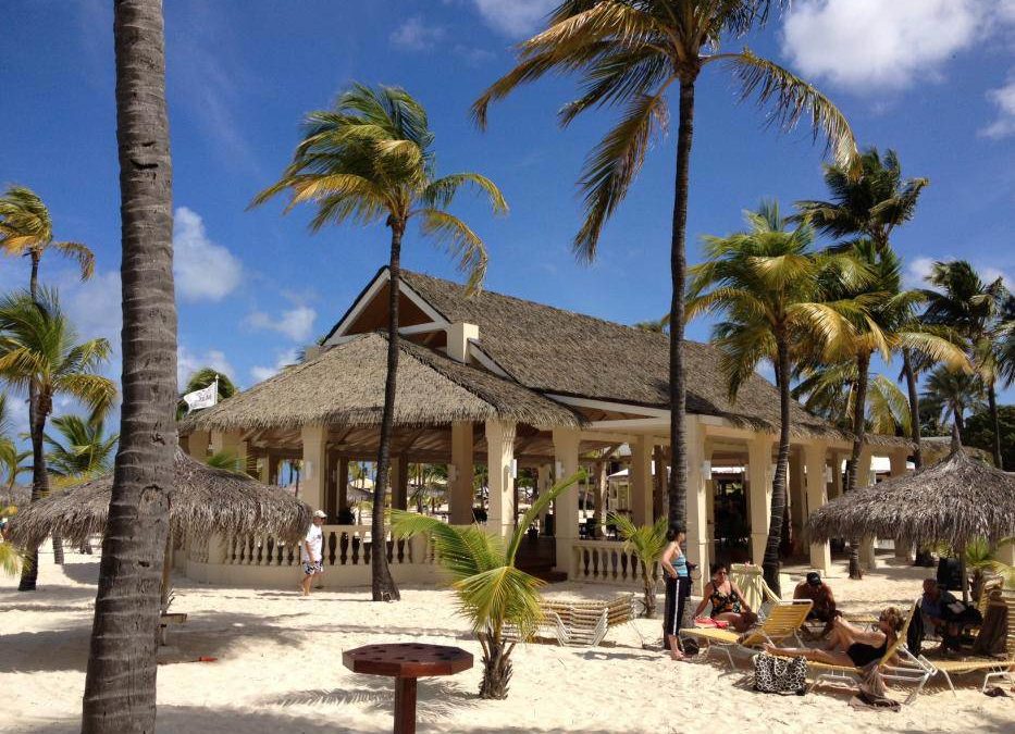 The Domingo thatch roof and bamboo ceiling looks astonishing