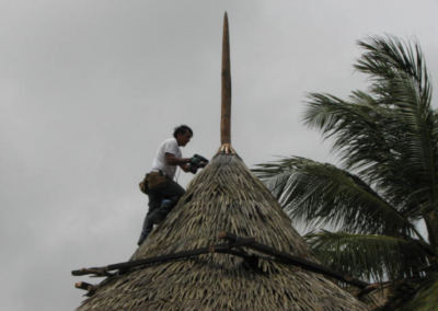 caracas thatch roof from Palmex