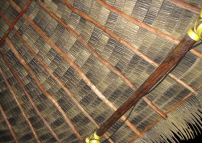 caracas thatch roof from Palmex