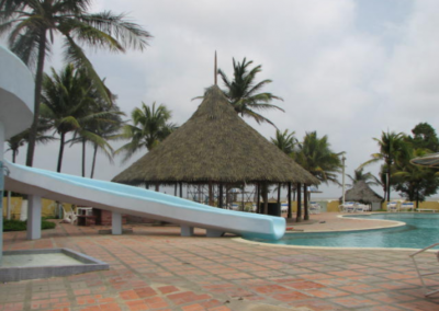 caracas thatch roof from Palmex