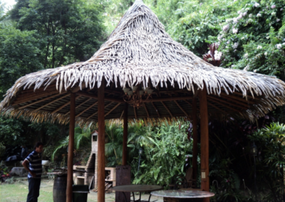 Caracas quinta privada Palmex thatch