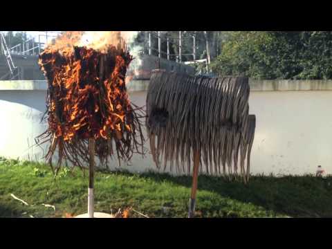 Fire Test Palmex Fire-Retardant Class A Leaves versus Natural Sugar Cane