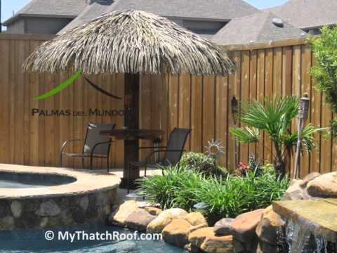 My Thatch Roof 2/2 – Palmex USA / Tiki Mundo Dealer in Texas