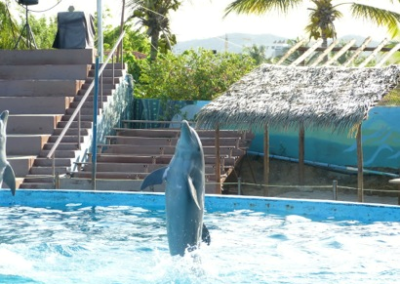 Isla de margarita parque waterland