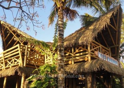 easter island manavai hotel palmex thatch roof 2