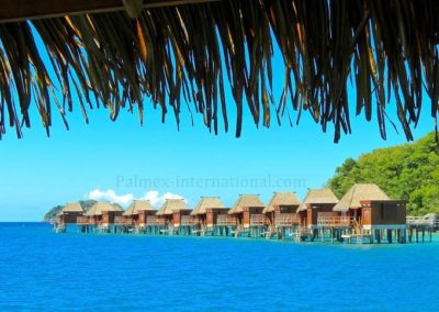 likuliku lagoon resort palmex thatch roof