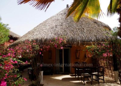 senegal hotel espadon palmex thatch roof