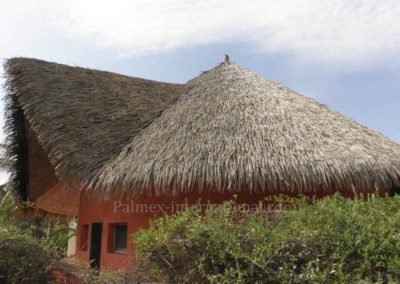 senegal hotel espadon palmex thatch roof 2